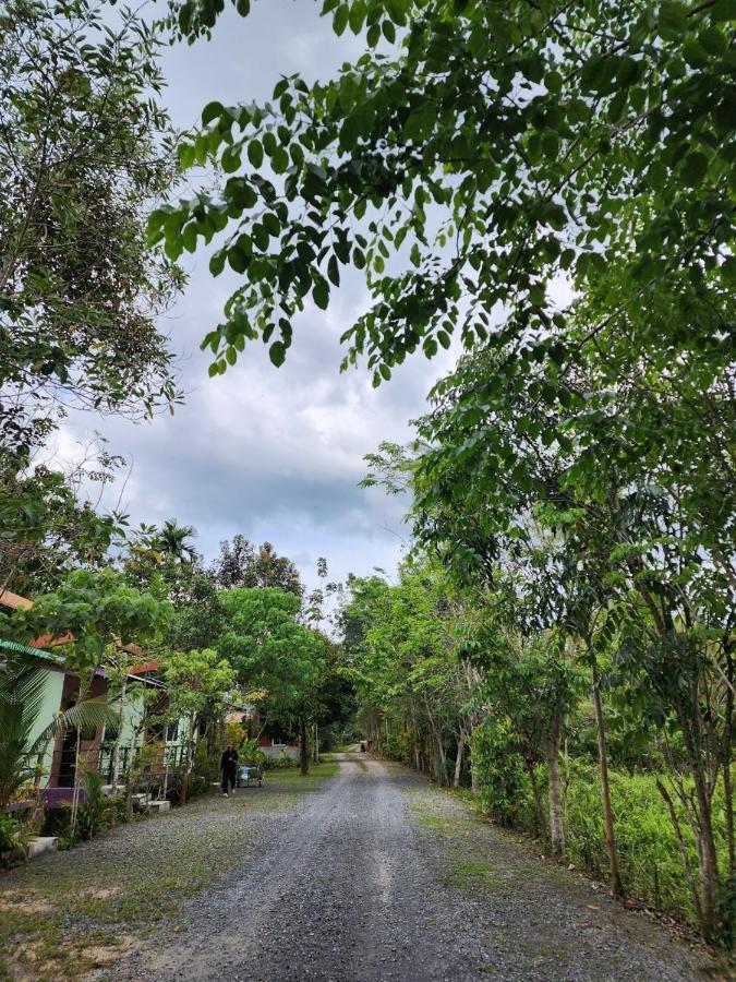 Suankafae Resort สวนกาแฟรีสอร์ท Сураттхани Экстерьер фото