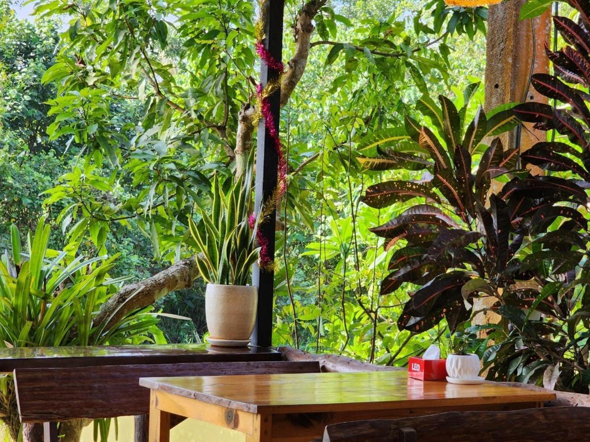 Suankafae Resort สวนกาแฟรีสอร์ท Сураттхани Экстерьер фото