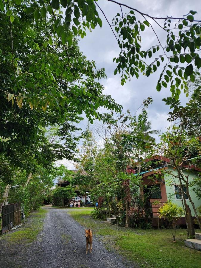 Suankafae Resort สวนกาแฟรีสอร์ท Сураттхани Экстерьер фото