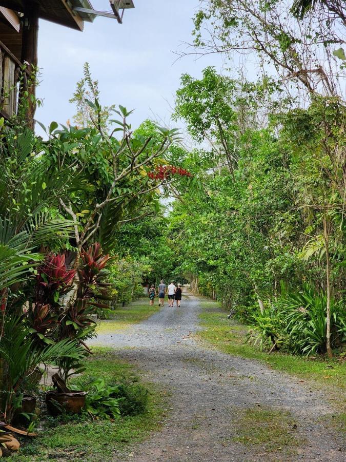 Suankafae Resort สวนกาแฟรีสอร์ท Сураттхани Экстерьер фото