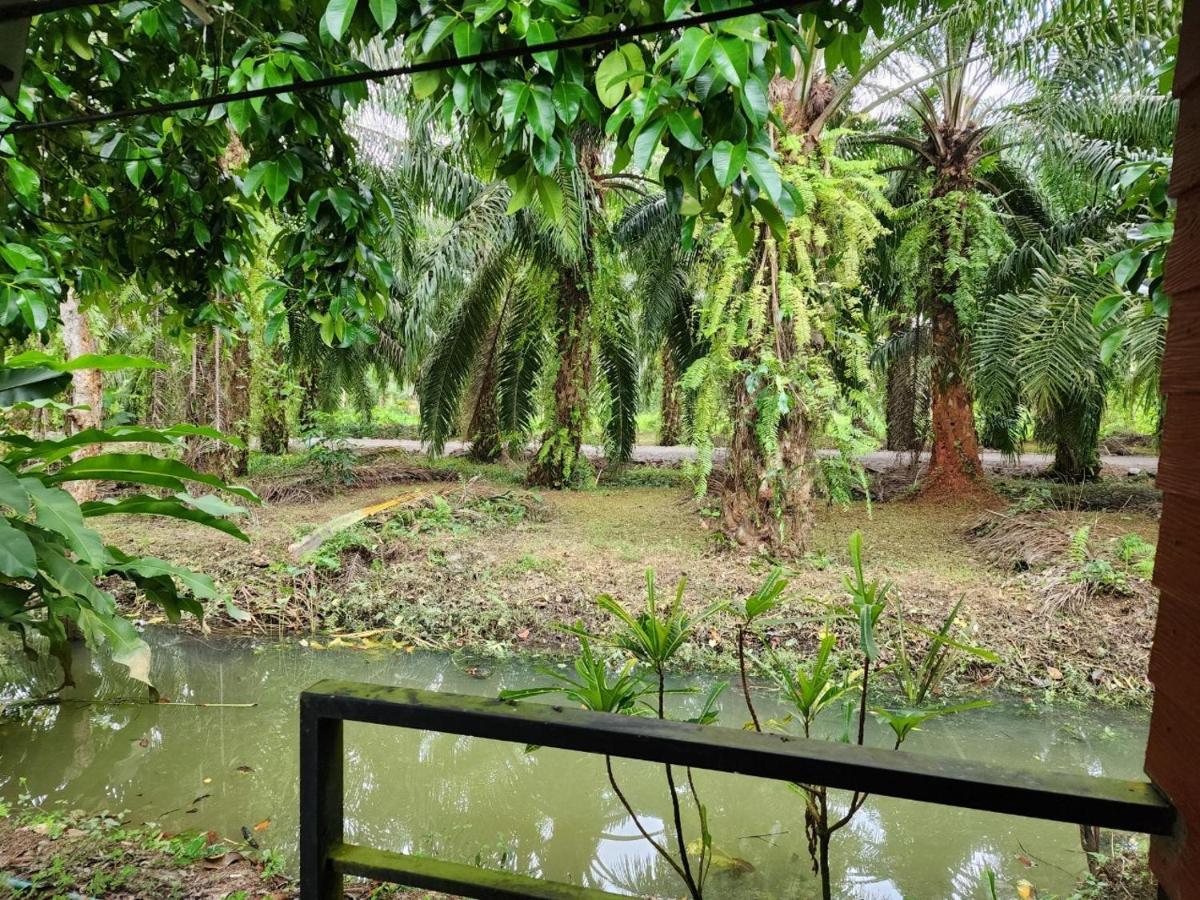 Suankafae Resort สวนกาแฟรีสอร์ท Сураттхани Экстерьер фото